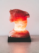 Load image into Gallery viewer, Himalayan Salt Lamp - Dolphin Shaped