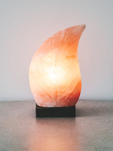 Load image into Gallery viewer, Himalayan Salt Lamp - Leaf Shaped